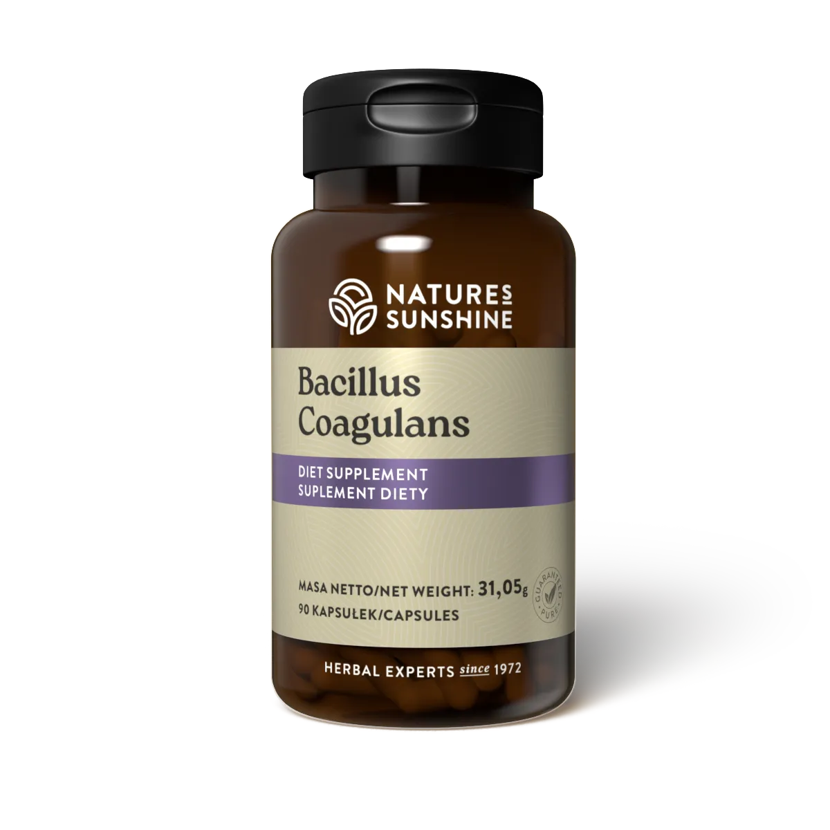 Bacillus Coagulans