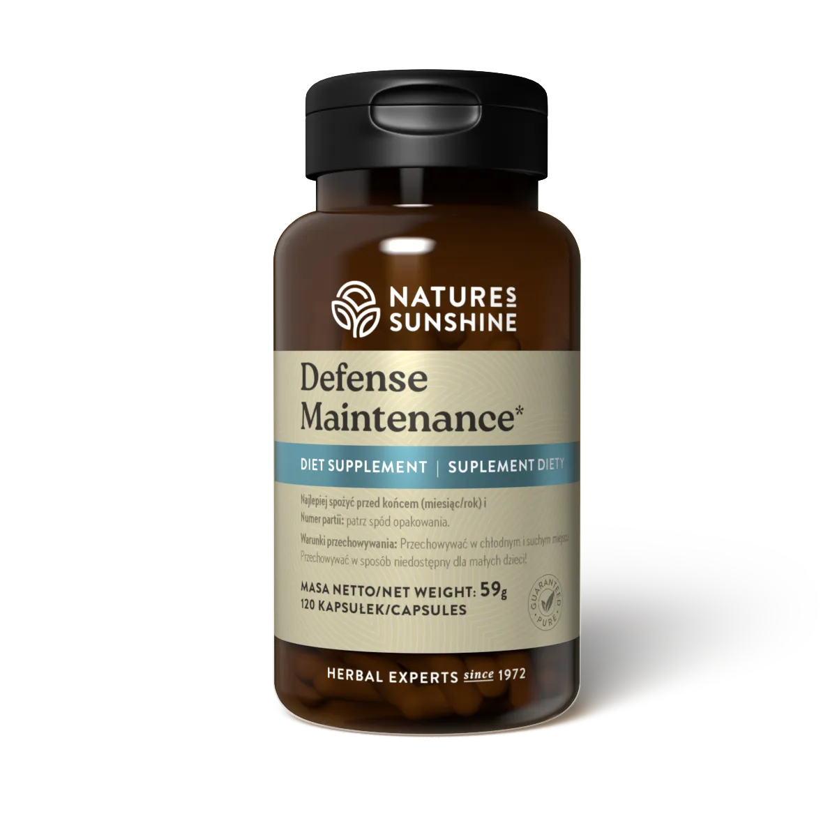 Defense Maintenance